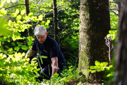 Activité à faire en Haute-Savoie · Le Refuge des Gourmets · Sortie Cueillette