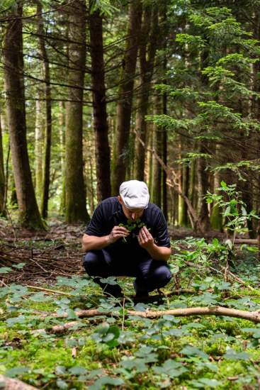 Activité à faire en Haute-Savoie · Le Refuge des Gourmets · Sortie Cueillette